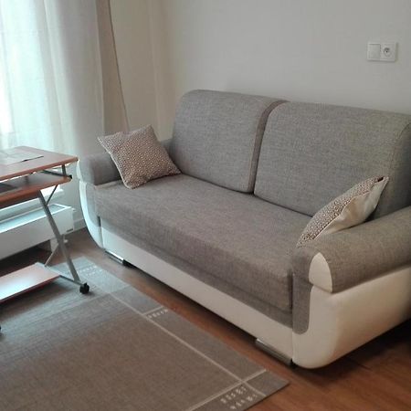 Apartment Brno Centrum With Private Parking Bagian luar foto