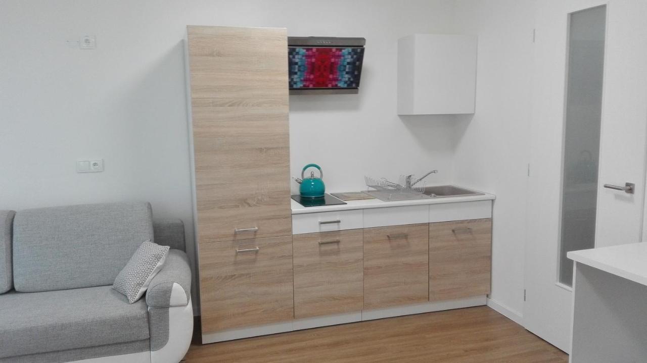 Apartment Brno Centrum With Private Parking Bagian luar foto
